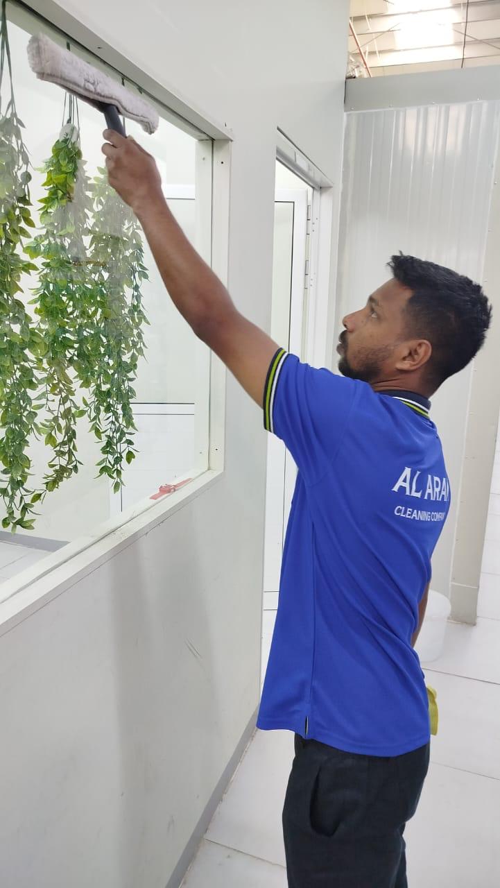Window Cleaning